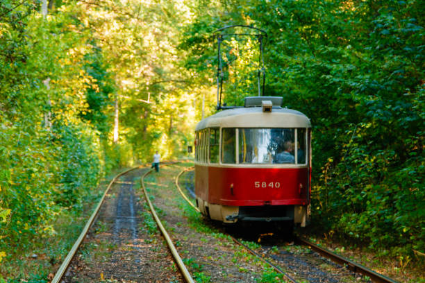 istock Tram and tram rails in colorful forest 1022967812