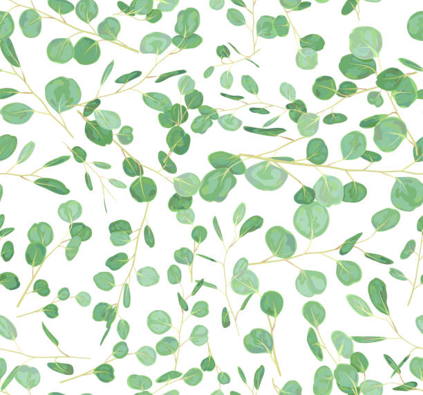 istock Vector seamless background of green eucalyptus leaves and branches on white isolated. Cute illustration 1022969192