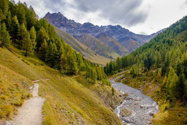 istock Swiss National Park, Val Trupchun (Graubünden, Switzerland) 1022969722