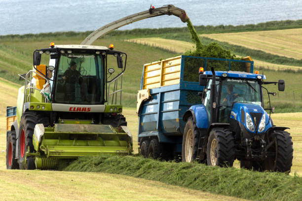 農業 - サイレージのための草の収集車両 - silage field hay cultivated land ストックフォトと画像