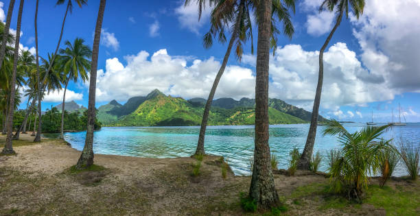 istock Afternoon at Ta’ahiamanu Beach 1022984998