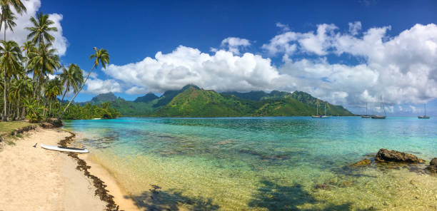 istock Opunohu Bay Beach panorama 1022999164