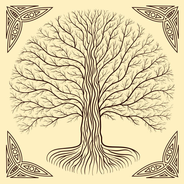 ilustraciones, imágenes clip art, dibujos animados e iconos de stock de druidas árbol yggdrasil, silueta redonda, logo de grunge marrón y crema. estilo gótico antiguo libro - yggdrasil