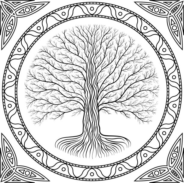 ilustraciones, imágenes clip art, dibujos animados e iconos de stock de árbol yggdrasil druídica en la noche, silueta redonda, logo de estilo celta. marco y frontera de estilo gótico antiguo libro - yggdrasil