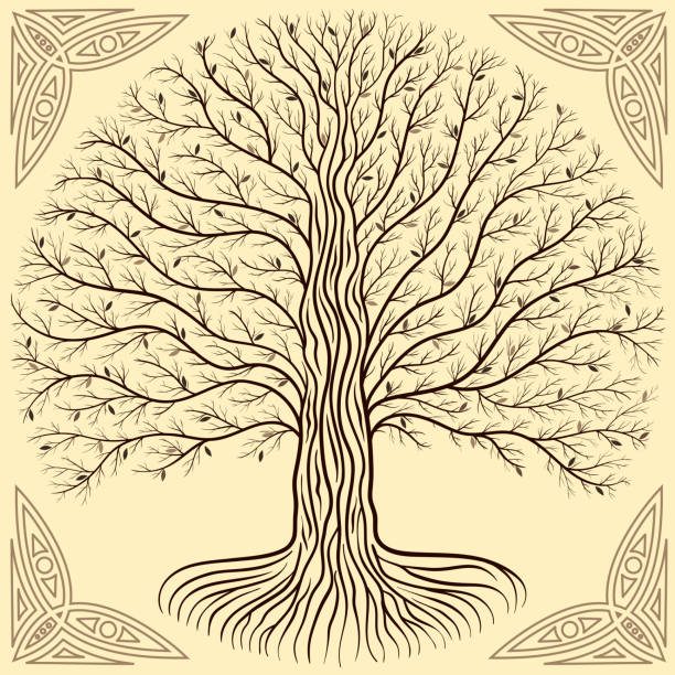 ilustraciones, imágenes clip art, dibujos animados e iconos de stock de druidas árbol yggdrasil, silueta redonda, logo de grunge marrón y crema. estilo gótico antiguo libro - yggdrasil