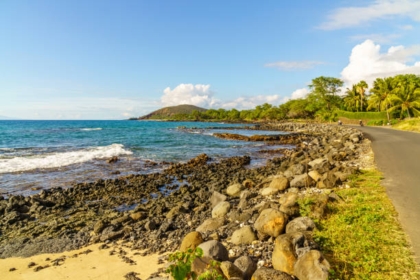 istock Maui beach and ocean rocky shore 1023004436
