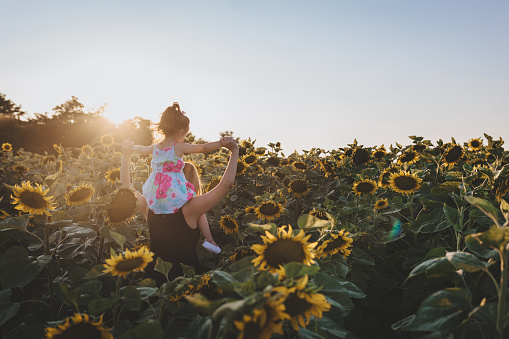 Cute and lovely toddler girl having fun in sunflower field with her mother, going through a sunflower field.