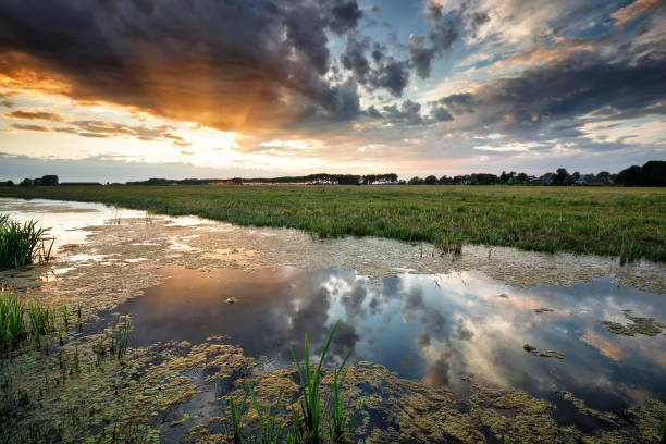 belle raggi del sole al tramonto sul laghetto in estate - sundow foto e immagini stock