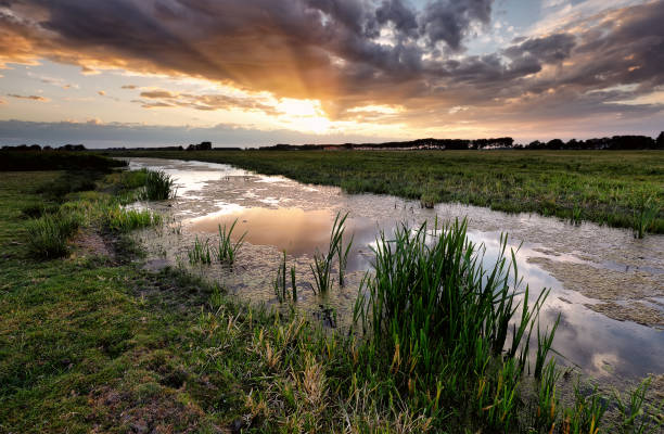 istock summer sunset over canal in Dutch farmland 1023021936