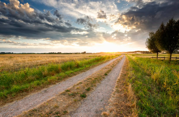 istock countryside road at gold sunset in summer 1023022100