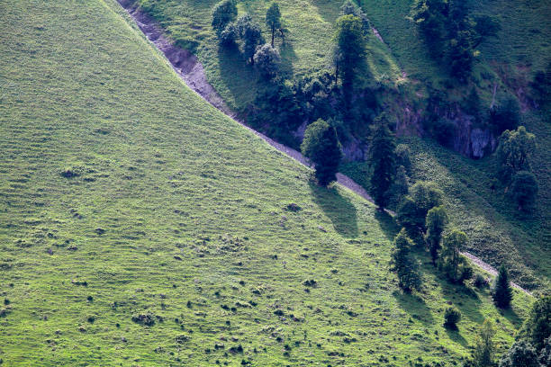 istock green mountain side in summer, Alps 1023022202