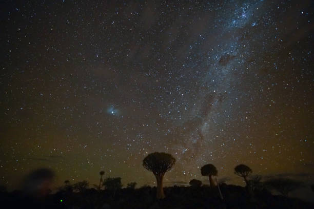 istock Stars and milky way in night sky 1023026294