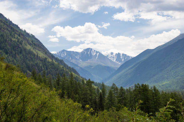 istock Peaks of the Altai mountains 1023030820