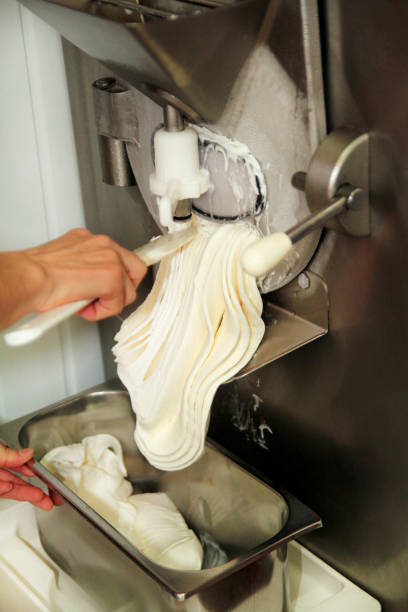 istock Female confectioner is working on ice cream maker machine. Producing vanilla and white chocolate ice cream and it falls into steel container. Industrial preparation of italian creamy ice cream. 1023031878