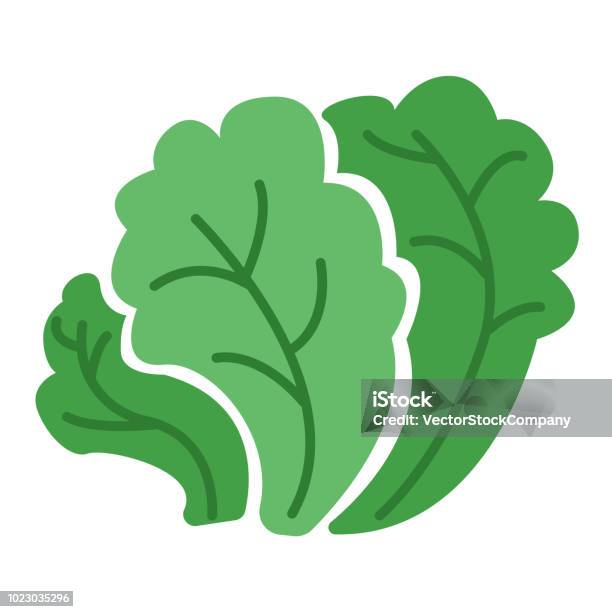 Salad Icon Vector Sign And Symbol Isolated On White Background Salad Logo Concept Stock Illustration - Download Image Now