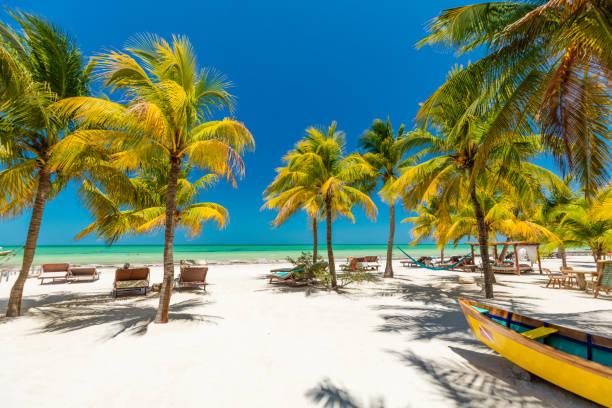 イスラ オルボッシュ島、メキシコの熱帯のビーチの設定 - yucatan travel tropical climate mexico ストックフォトと画像