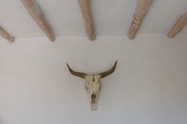 istock Animal skull on a wall inside a stylish mexican home 1023038242