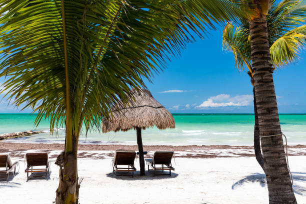 istock Sunny beach on Isla Holbox, Mexico 1023038624