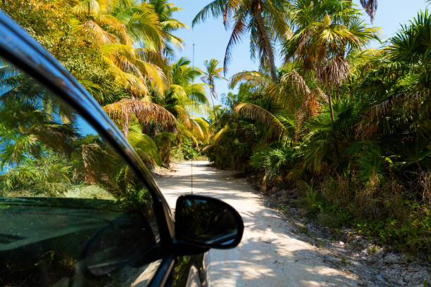 Driving through the jungle in the Sian Kaan reserve, Mexico Driving through the jungle in the Sian Kaan reserve, Quintana Roo, Mexico bioreserve photos stock pictures, royalty-free photos & images