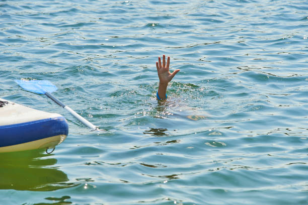istock Paddle boarder. Child boy paddling on stand up paddleboard 1023041918