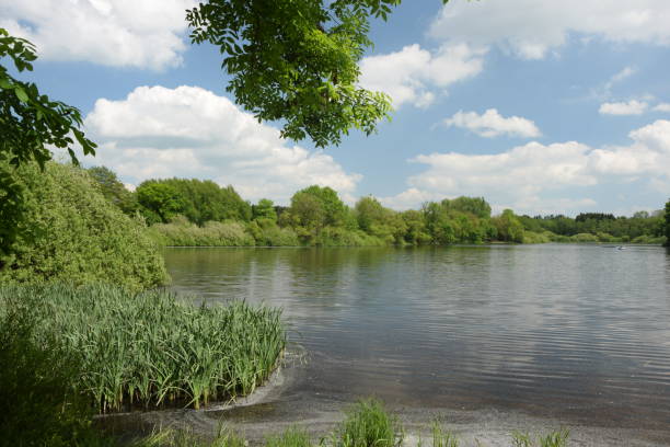 istock Hausweiher, a lake at Westerwald, Germany 1023049888