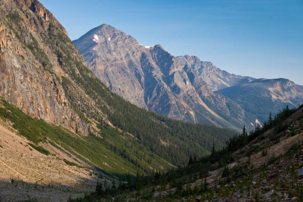 istock View in to a mountain valley in Jasper National Park, Alberta 1023053654