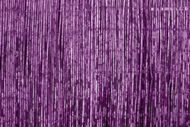 istock Weathered bamboo fence in purple tone 1023053792