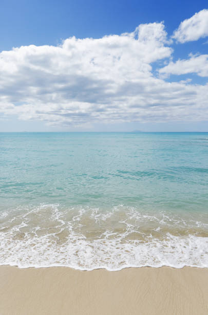 istock Beautiful beach in Antigua&Barbuda 1023057244