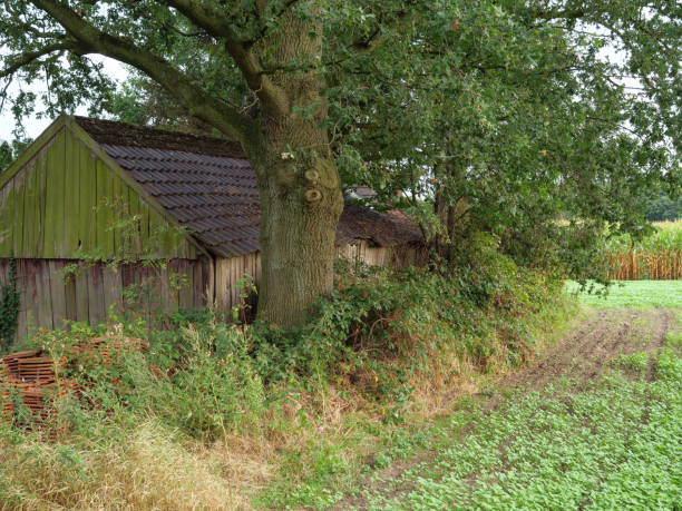 istock late summer in the german muensterland 1023057924