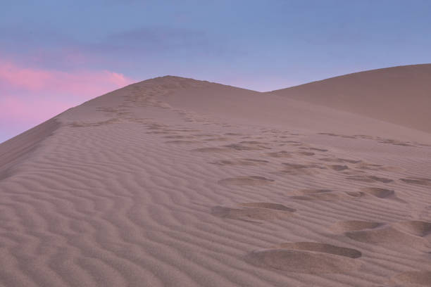 istock singing desert sand dune at sunset,Kazakhstan 1023060268