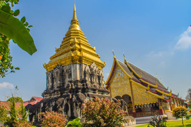 bella chiesa e chedi dorati in stile lanna sostenuti da file di contrafforti a forma di elefante a wat chiang man, il tempio più antico di chiang mai, in thailandia, costruito nel 1296 dal re mengrai del regno di lanna. - wat chiang man foto e immagini stock