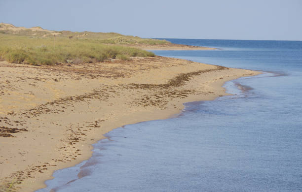 istock Ningaloo Coast, Western Australia 1023063590