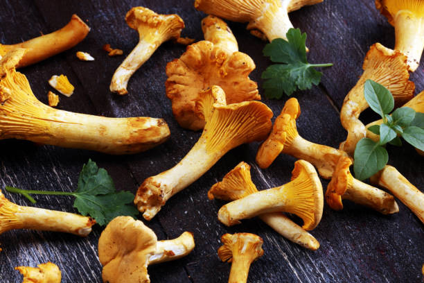 istock Raw wild chanterelle mushrooms. Composition with wild mushrooms 1023066122