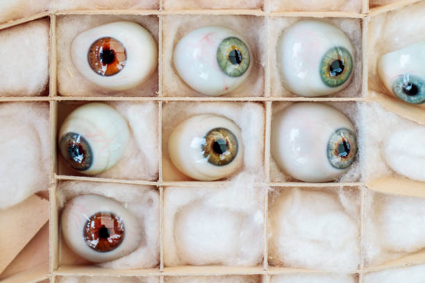 set di occhi artificiali vintage - occhio di vetro foto e immagini stock