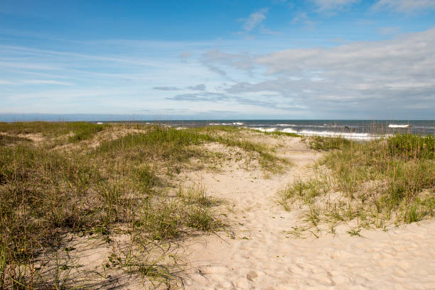 istock Sand and ocean at the Outer Banks, North Carolina 1023073624