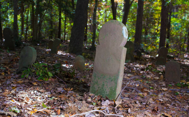 istock Old headstone in a North Carolina cemetery 1023093598