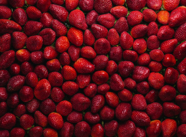 Ripe Strawberry Background - Misted With Water stock photo