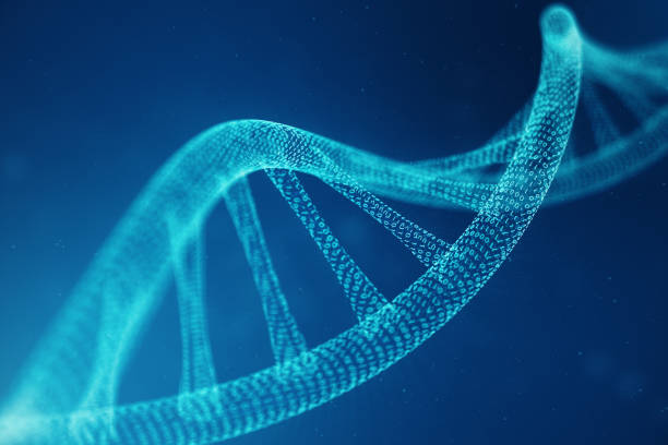 molecola artificale di dna di intelegence. il dna viene convertito in un codice binario. concetto genoma del codice binario. scienza tecnologica astratta, concetto di dna artificiale. illustrazione 3d - genetic research foto e immagini stock