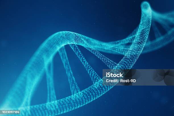 Artifical Intelegence Dna Molecule Dna Is Converted Into A Binary Code Concept Binary Code Genome Abstract Technology Science Concept Artifical Dna 3d Illustration Stock Photo - Download Image Now