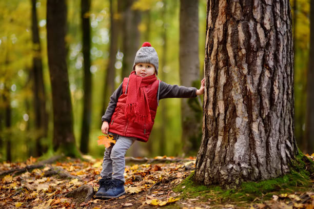 istock Little boy during stroll in the forest at sunny autumn day 1023120094
