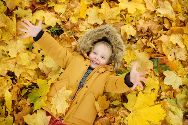 istock Little boy during stroll in the forest at sunny autumn day 1023120190