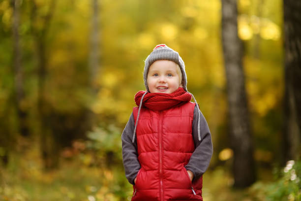 istock Little boy during stroll in the forest at sunny autumn day 1023120234