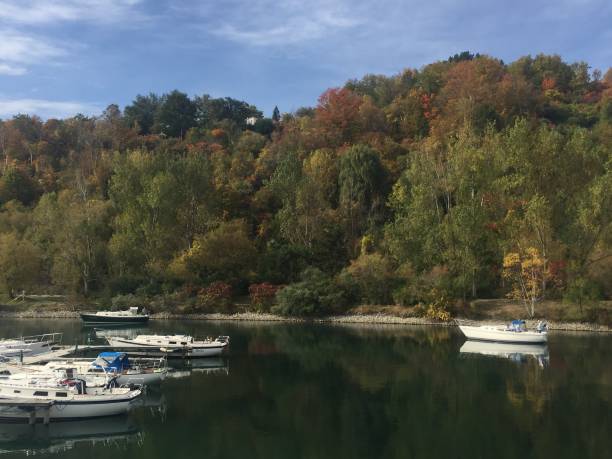 istock Boats resting on the lake 1023122500