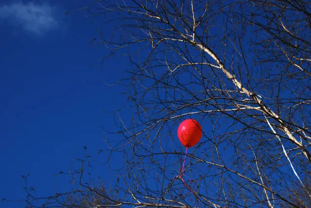 A bright red balloon attached to a string is tangled in a bare tree against a deep blue sky on a winter day in New York City's Central Park.