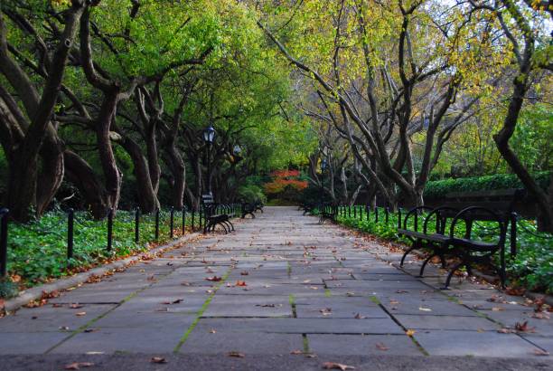 istock Benches on a Walkway in New York City's Central Park 1023128450