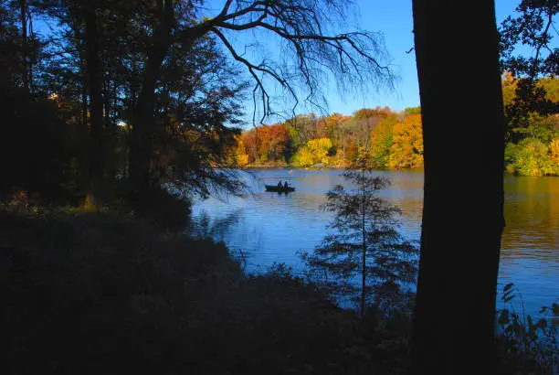 On a beautiful autumn day, a couple enjoys a ride in a rowboat on The Lake in New York City's Central Park, surrounded by colorful fall foliage under a deep blue sky.