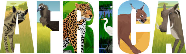 istock vector Africa illustration with leopard, vulture, Great white heron, striped hyena, caracal and common warthog 1023146038