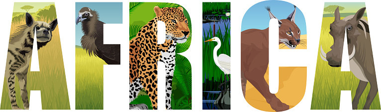 vector Africa illustration with leopard, vulture, Great white heron, striped hyena, caracal and common warthog