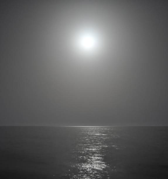istock The beautiful night Amathus Beach Limassol in Cyprus 1023146770