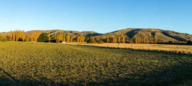 istock high country mountain scenery 1023149396